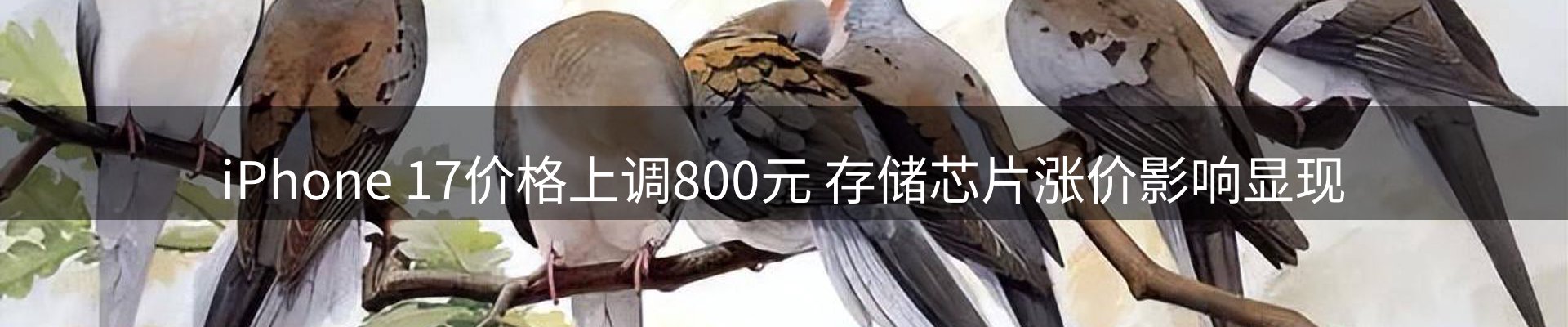 热点汇览